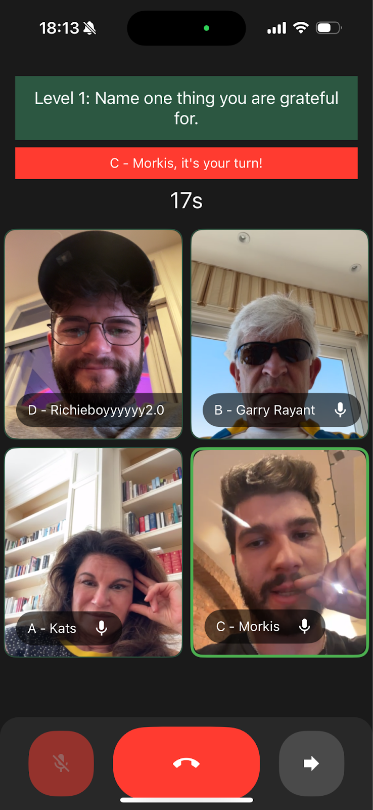 Controls View Screen